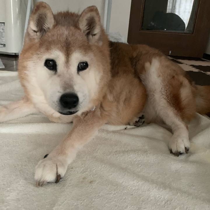 58625468 3f4a 44f4 a4f5 1e4ffd2391be 1689204287913