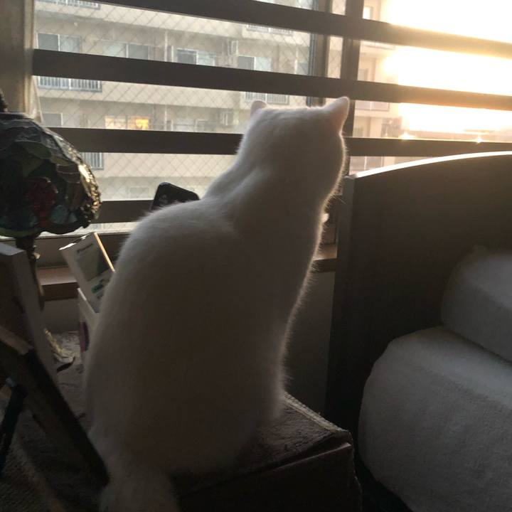 58625479 2b29 4fd4 98f4 787527296b42 1664676207680