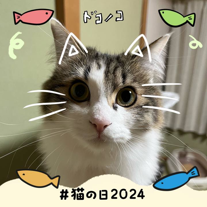 58626995 80a7 4da9 9407 e6cce66159ba 1708553213696