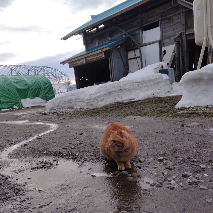 586278d1 34f1 48b1 96e4 219a0c771036 1674166962831