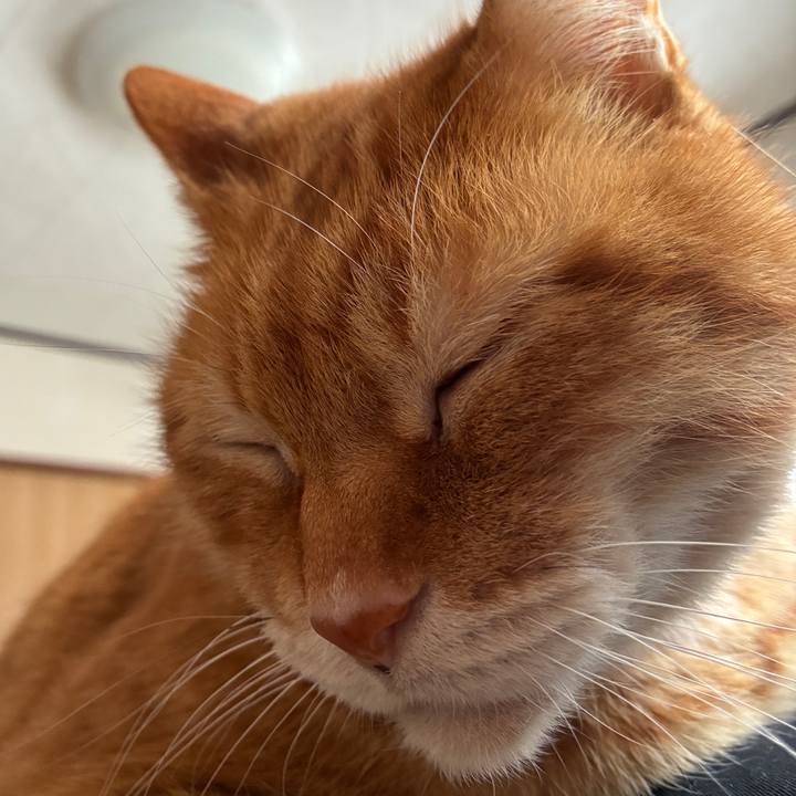 58628db5 306e 4bd2 a79e bd0b337e9df7 1773053849973