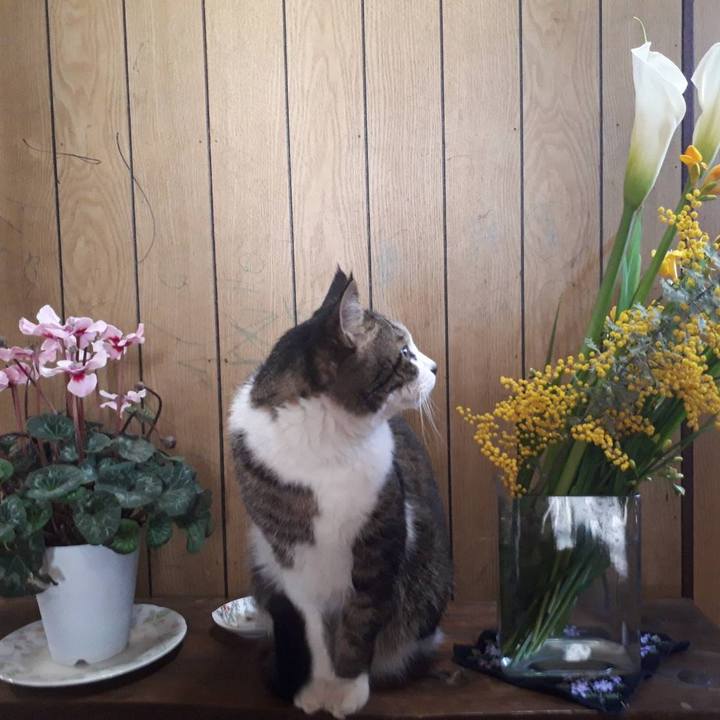 58629269 385d 4767 81c5 f4cdbe828946 1648819533597