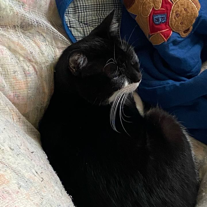 5862a5a0 de64 46dd 887b 2b09884058ea 1615215418209