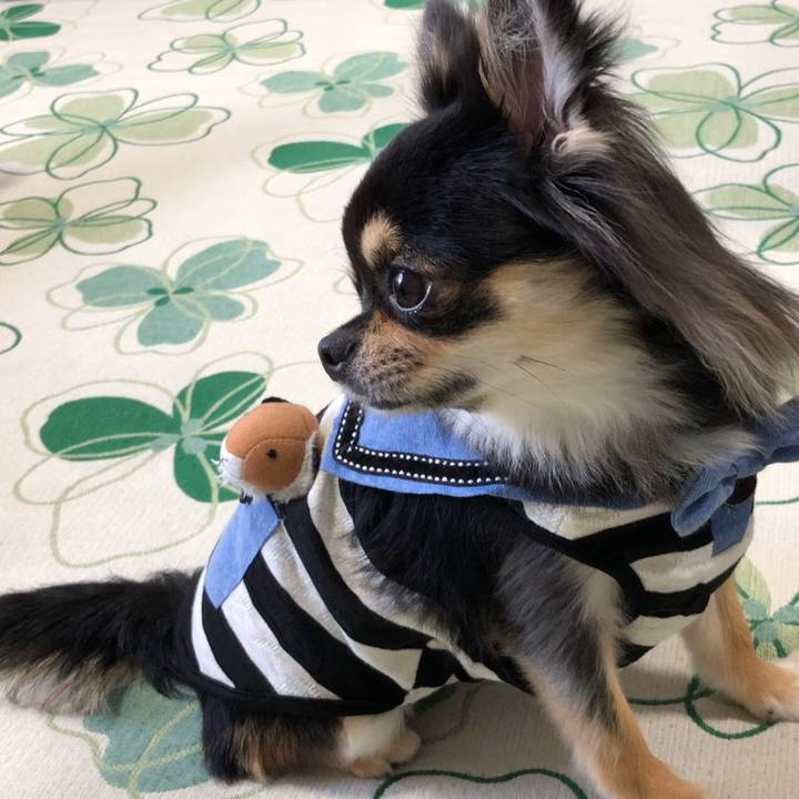 5862c4b2 e48d 43cf 8e7c e4f1ea69de36 1564109215033