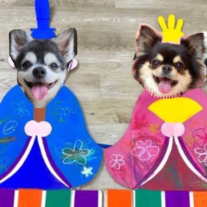 5862ddcb fcd2 4585 a2e0 a647788ed6fe 1614736815132