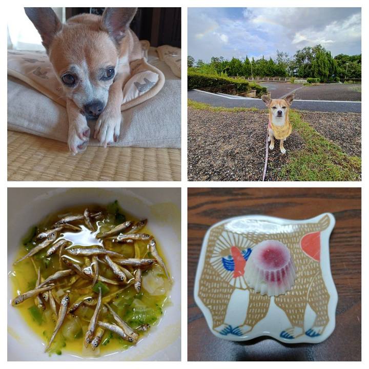 5862efaa bdcd 4540 8653 d024f7286e2d 1662283215735