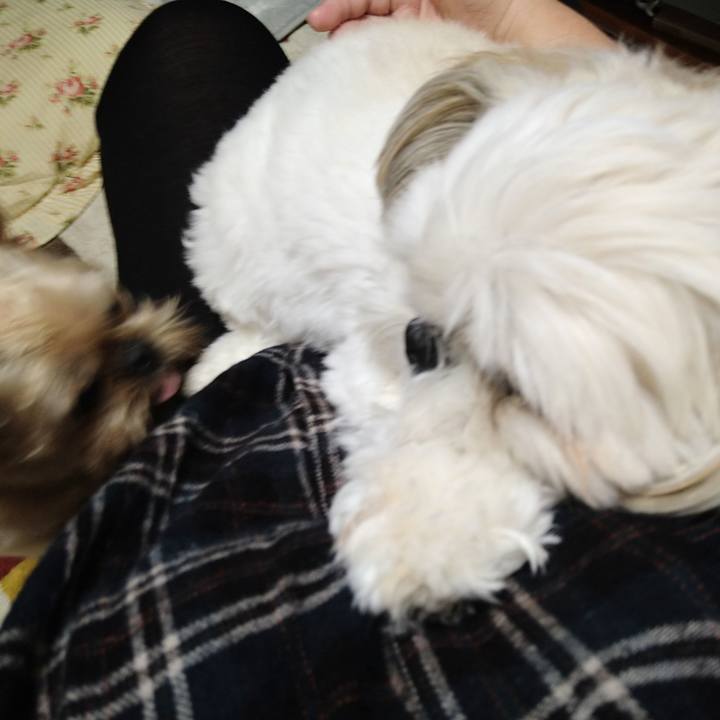 58630c67 008a 4b0d bd9e d44966432561 1637301455232