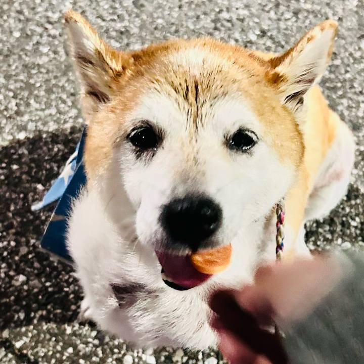 58634182 7228 4afa b212 afa258f16198 1759486543022