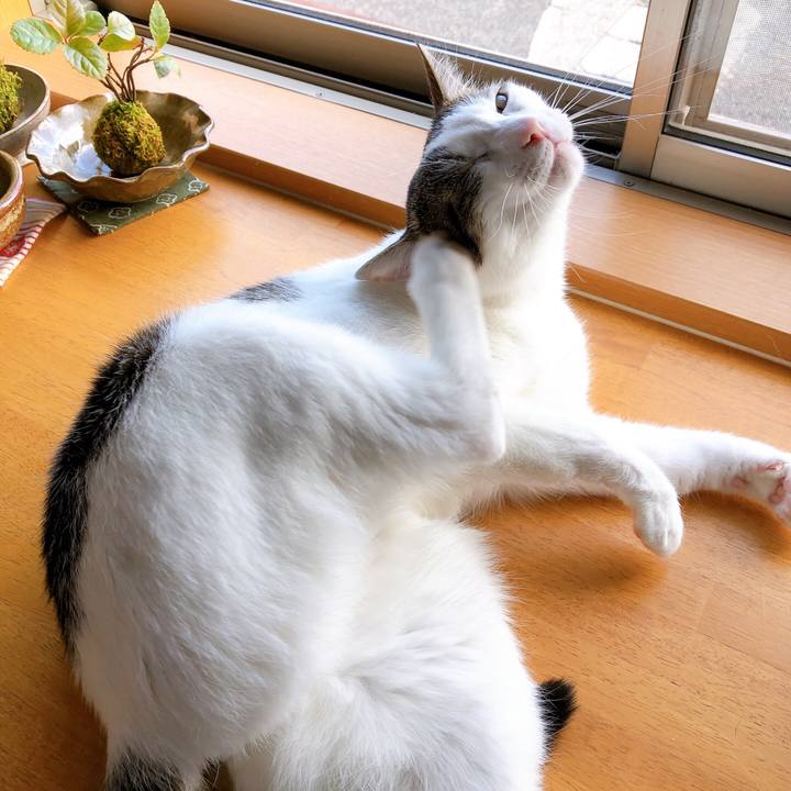 58634fda d828 4838 a4c2 b14ffac613ed 1601858332375