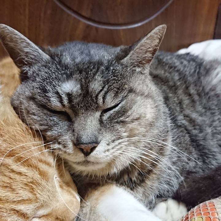 5863b20a 8bc3 448f 8e7f 7b35f382e27d 1584534004339