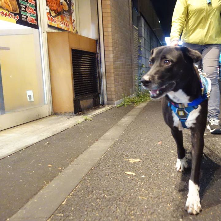 5863b40d d897 4c24 821c 288e44d4dabe 1636368131953