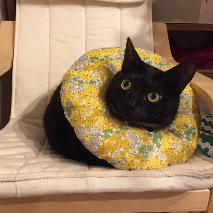 5863eb7a 1d4b 472a 8581 ebf55317b45a 1526172071391