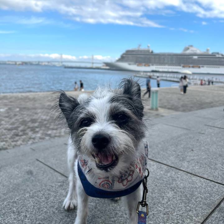 5863f25d 854f 449a 9cb9 8cd43c7e7b49 1759723764293