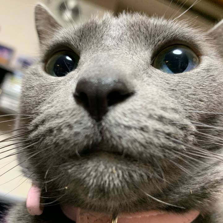 58644c7e 123e 4c29 91a8 487c17723847 1583926367788