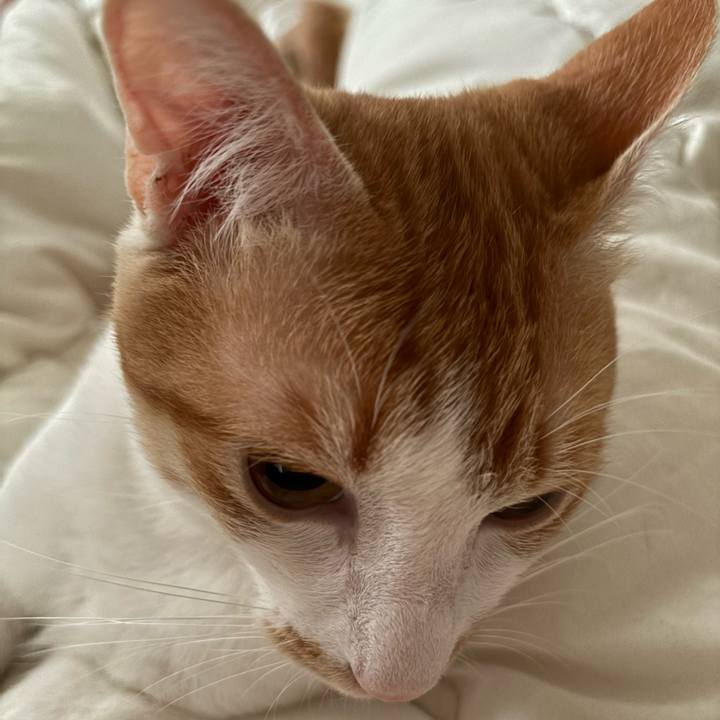 58646e4a c209 4cf6 82aa 89dd0e94dcd2 1719954601670