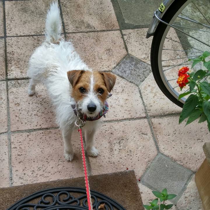 586495b7 4043 4009 a0c9 4dc1c9359f20 1538186899010