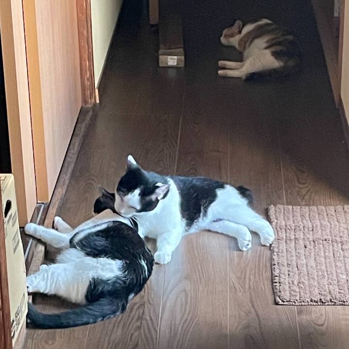 58649b92 4068 4479 8444 93a9b40d3902 1723108114508