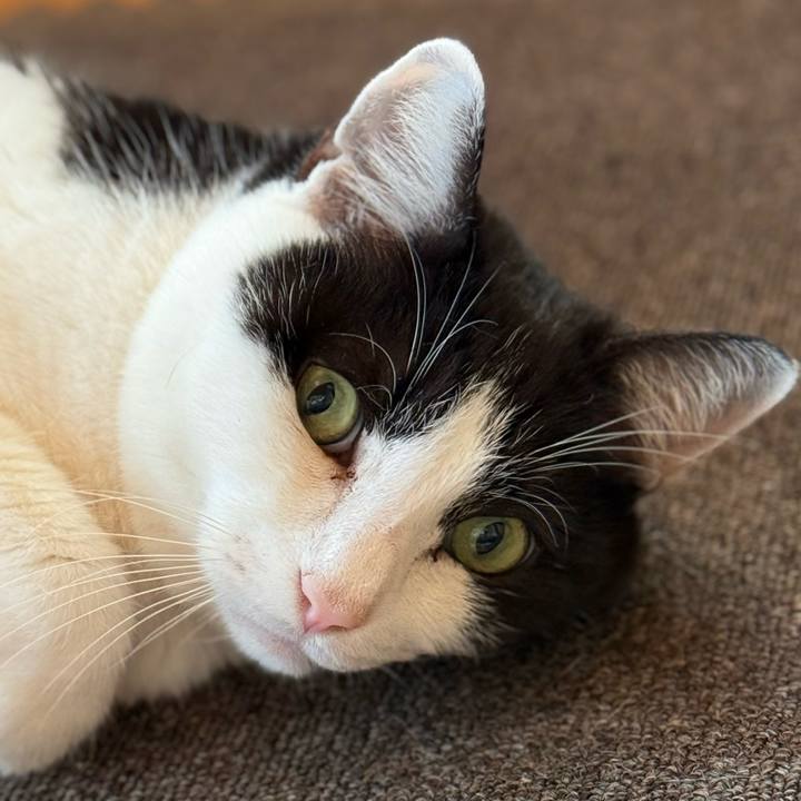 5864a94b a996 4e9f 9031 fd949c0a3b92 1737427153046