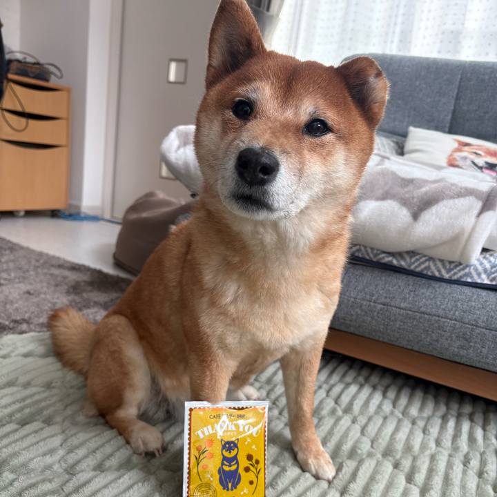 5864d84a 68b3 4e1f 8145 e16ee9e6fa8d 1769914688338