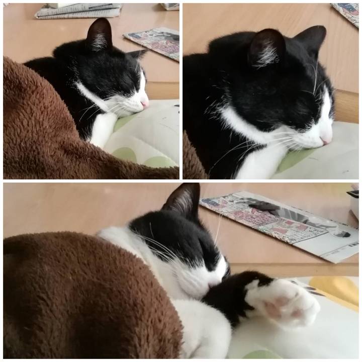 586512c9 7825 4b7a 99b3 8e066d3dfd56 1578969873934