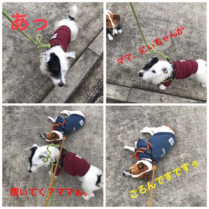 58652d70 5b7a 457e b9ed 38614a395413 1541982455152