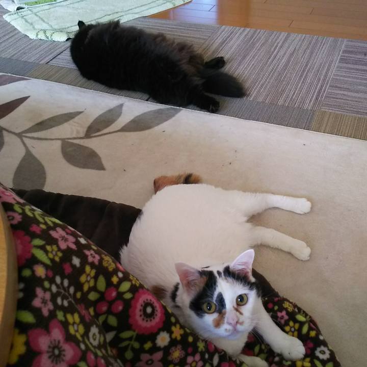 58653252 314c 4500 b1a2 9abd60542ded 1545867928072