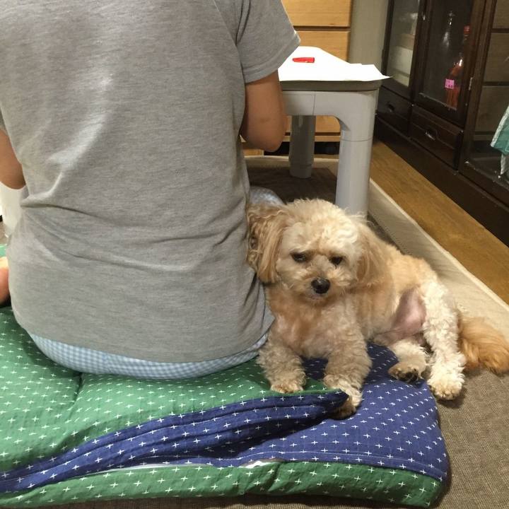 586542f5 cc0e 4c0c adcf 5e4e718e90d5 1535988542914