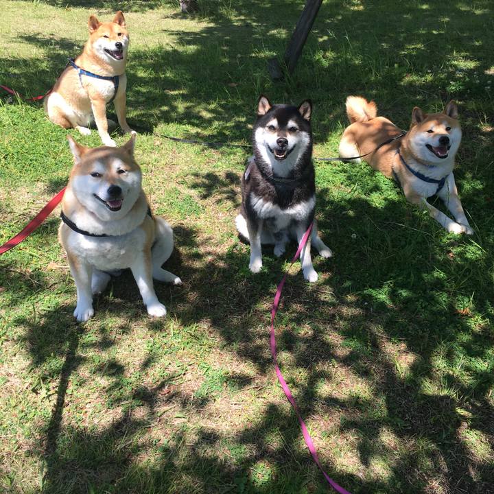 58655333 79e3 4603 baa5 0f9cfebff54b 1631323848597