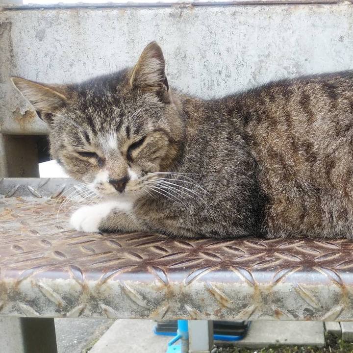 586565ef ea47 45dd 9d30 d234a83c8689 1589242649796