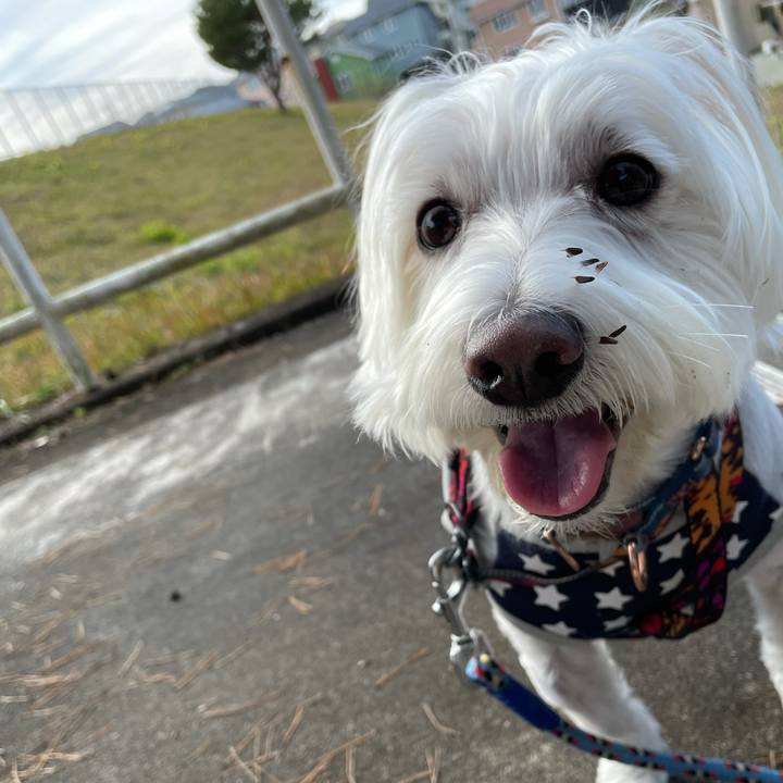 5865c393 4fbc 4831 8fbf de1bb6830678 1636860217329