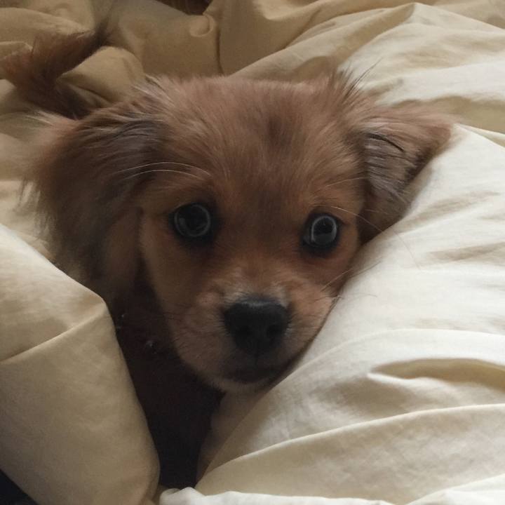 5865e6f4 6ddd 4c5c 9caa fa9ae833b708 1536096235080