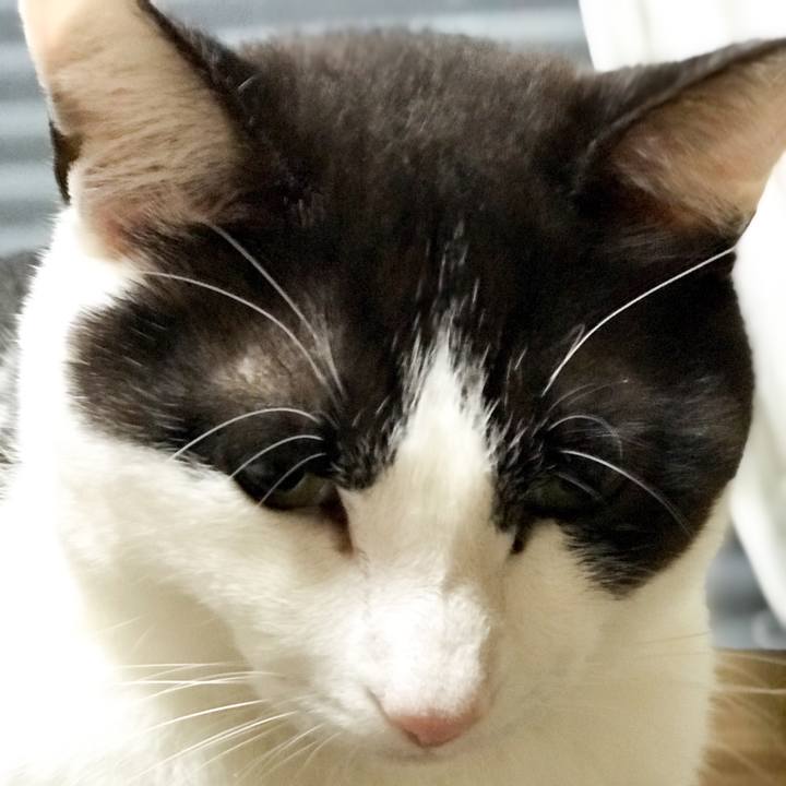 5865f62b cc91 4e6f ae9c 8a8f4cc189bb 1526529130766