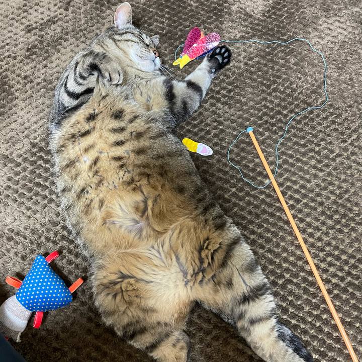 58661094 e7de 4a59 b5ae ca1f55c130c1 1619436214108