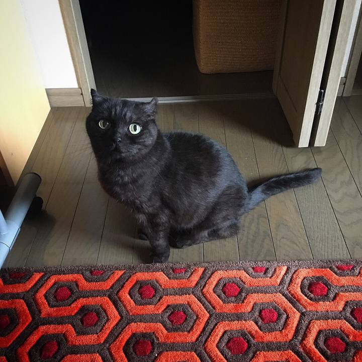 586623b9 f449 4c7b 8865 ed4d4d8d68bf 1529796372799