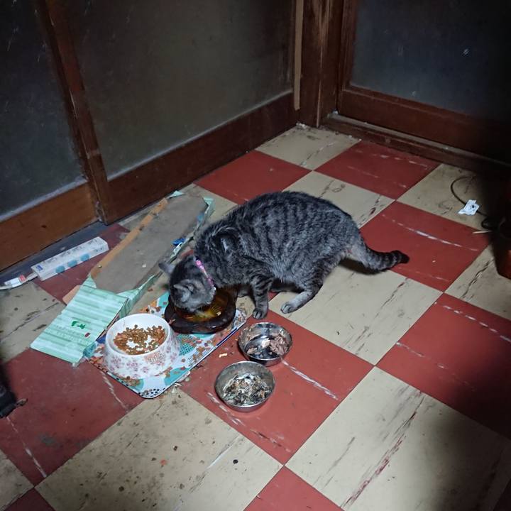 58662e49 3477 4e89 a218 55d9e3e45355 1579725203151