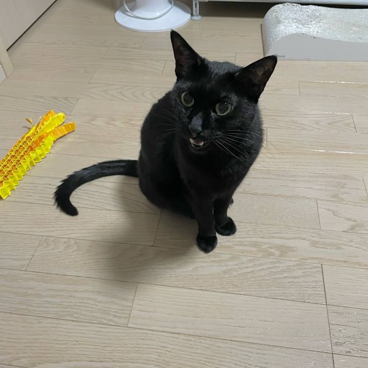 586635e1 a9aa 48bc b955 44358ca3f39e 1718717724983