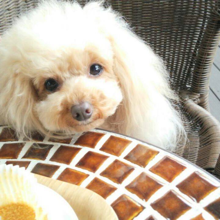 58665f03 c90b 49f4 82a4 127e19627fda 1552210495589