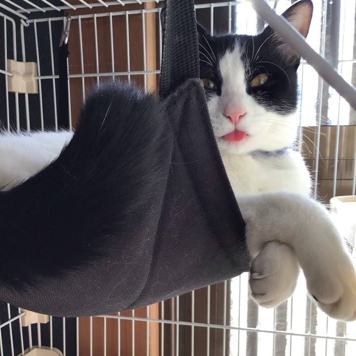 5866a986 8ddd 4426 b7c6 8cd923615ed8 1641173984863