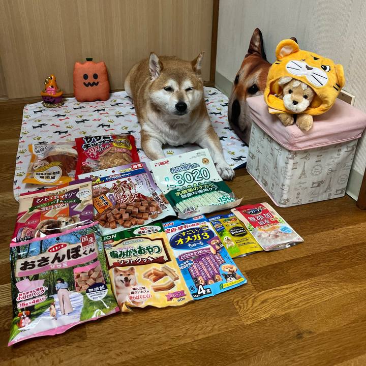 586701af 5426 4fb5 add3 f5a29e34a3c6 1662947589666