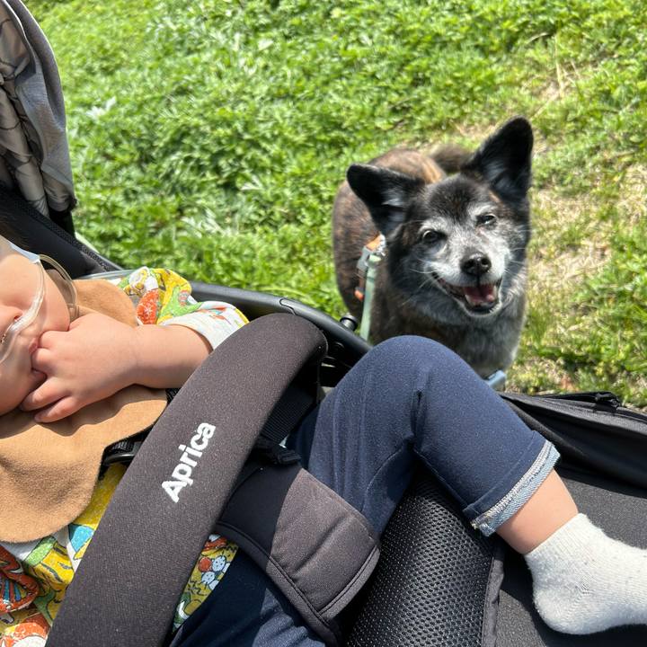 5867053e b2c0 405f 909c 78450b06bc40 1744349807628