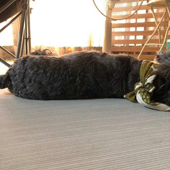 58672a87 3967 484c 82c0 820ba6e89e76 1566105467853