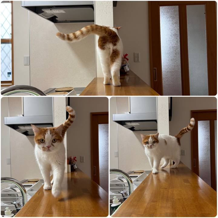 58673196 a74f 4998 9754 379ecdb0ca5a 1771555534263