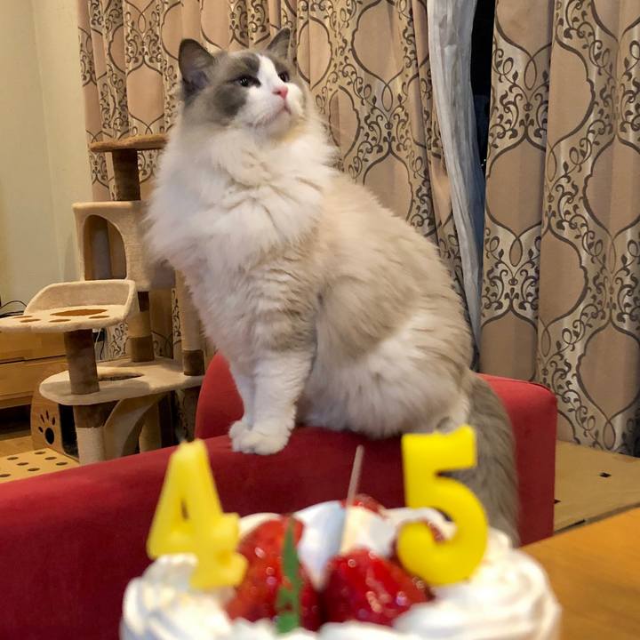 58676d54 bcc2 44aa af32 90c8aafa36e8 1613746678773