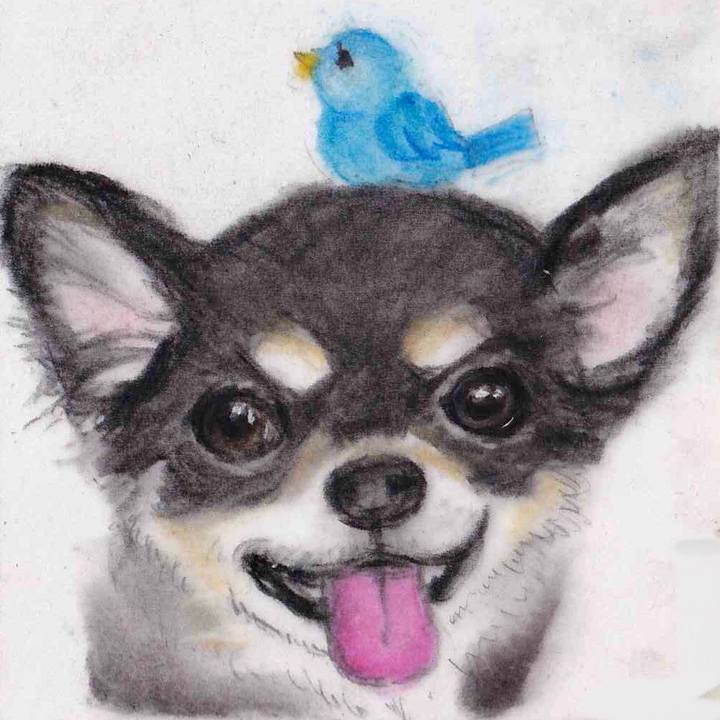 5867977a 7494 4414 b956 23b44150fbfc 1654779708320