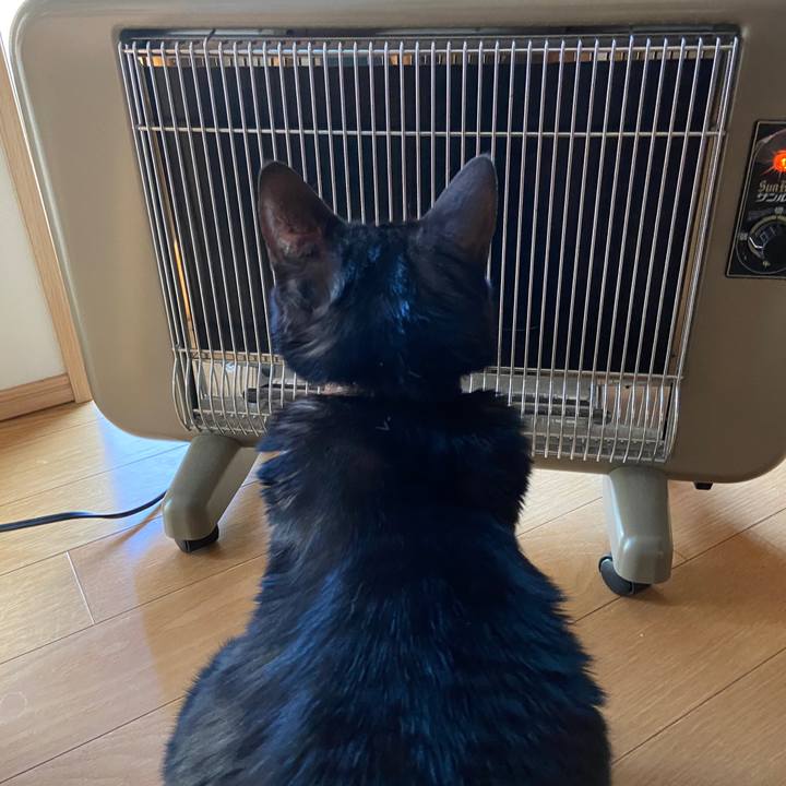 5867d9c2 2f0b 4d58 8b0f a23bc1281c30 1637731384920