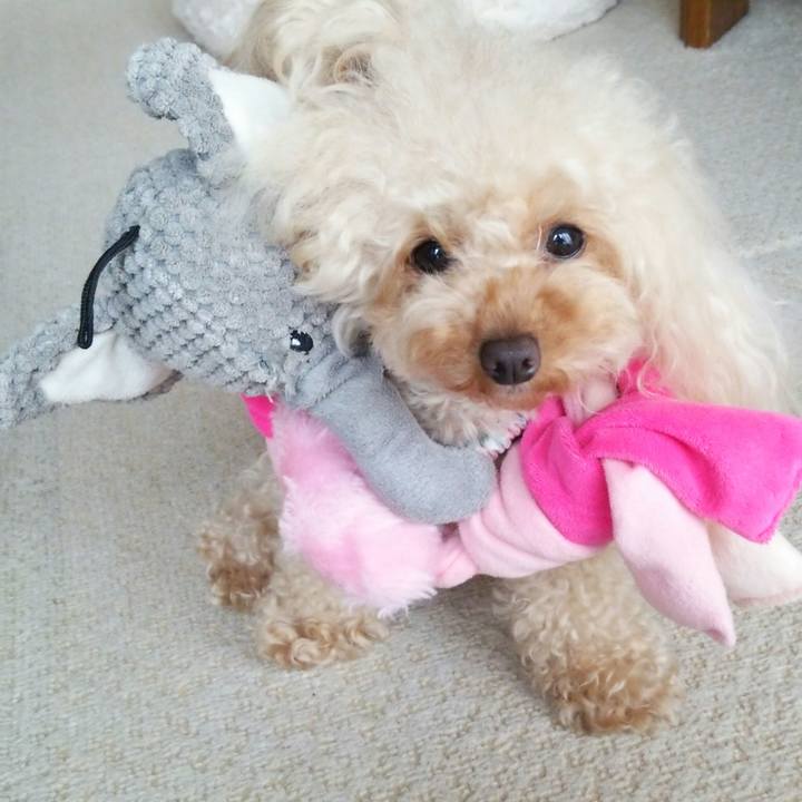 5867eaa2 d80f 4976 b4ec 70c472bcc629 1517027058988