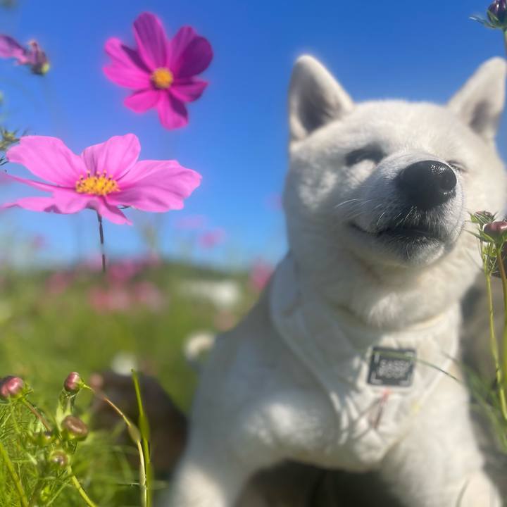 5867fe62 aa01 4920 a3ef 89b5861f3b54 1729070058940