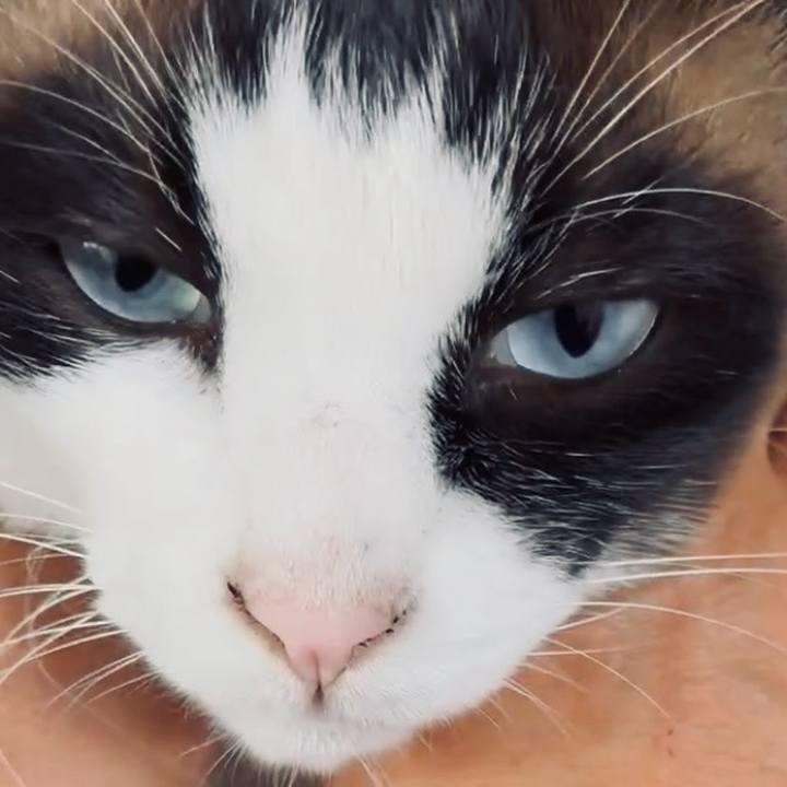 58680bae 596a 45fd 9d09 60f69af415d1 1749088437917