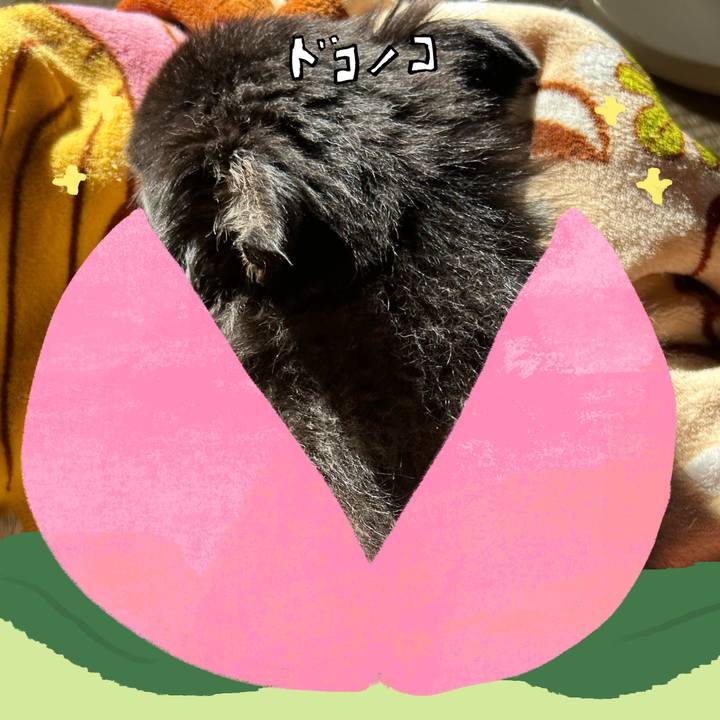 58682a65 51c3 45b8 93ed b500f36a716a 1771947544716