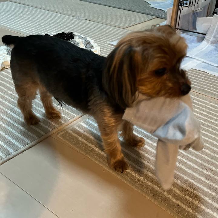 58687801 cc21 4f5e b3f5 556352255b52 1657964241041